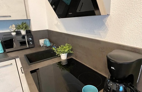 Bad Bergzabern Apartamento | Apartamento 'Neue Orchideen-apartments Im Haus' con jardín compartido, balcón y Wi-Fi