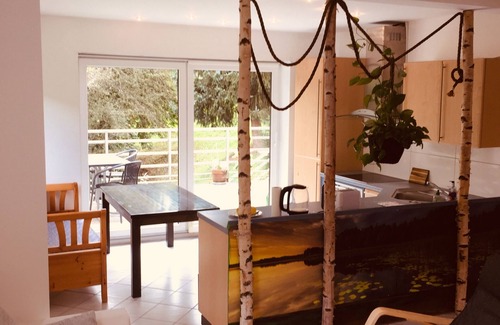 Hirschhorn Apartamento | Apartment no.3 climatic health resort, pearl of the Neckar valley
