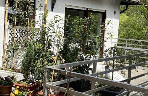 Hirschhorn Apartamento | Apartment no.3 climatic health resort, pearl of the Neckar valley