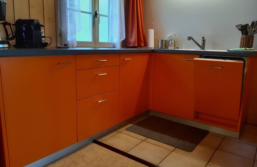 Gadmen Apartamento | Apartamento en la granja
