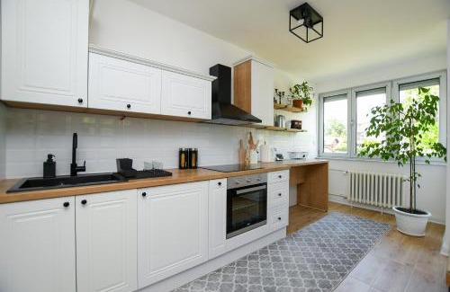 Kladovo Apartamento | Apartment Pavlovic