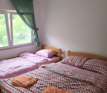 Soko Banja Apartamento | Apartment Pavlovic