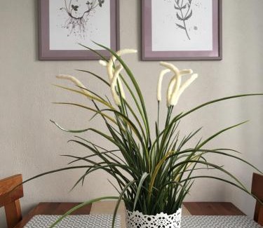 Erfurt Old Town Apartamento | Apartment Pension Sternchen