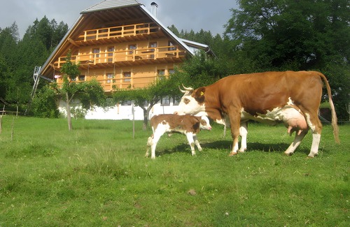 Schonach im Schwarzwald Apartamento | Apartment 'Pfiffikus' with Mountain View, Shared Terrace and Wi-Fi