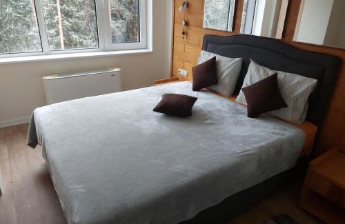 Samokov Apartamento | Apartment Relax Chamkoria Borovets