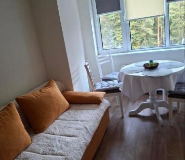 Samokov Apartamento | Apartment Relax Chamkoria Borovets