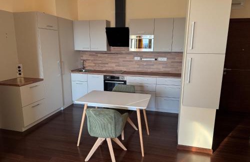 Karlovy Vary Apartamento | Apartment Residence Moser - Sauna and Pool