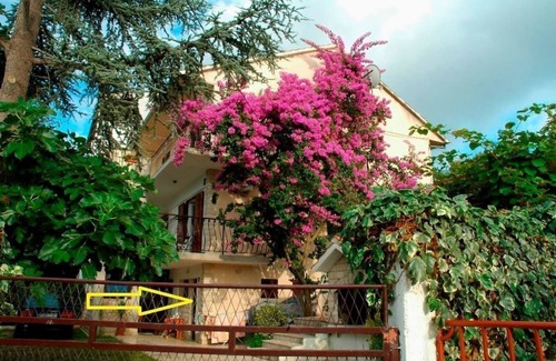 Slatine Apartamento | Apartamento Ribica (56381-A1) - Slatine (Ciovo)