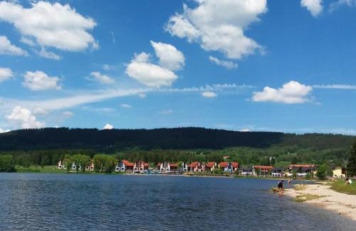 Lipno nad Vltavou Apartamento | Apartment Riviera 503-1 Lipno Home