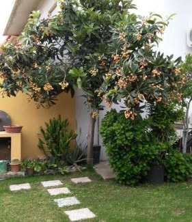 San Vito Apartamento | Apartment Rose e Fiori Sardegna