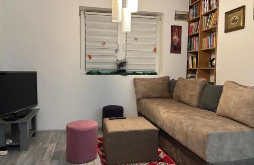 Odzaci Apartamento | Apartment S