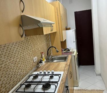 Odzaci Apartamento | Apartment S