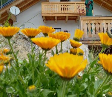 Grosssoelk Apartamento | Apartment Schönwetter