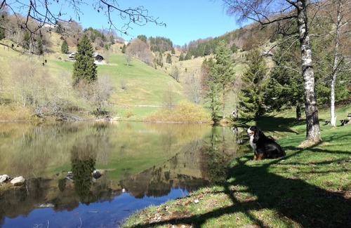 Hofsgrund Apartamento | Apartamento Schauinsland, hermosa vista, senderismo, ciclismo de montaña, recreación