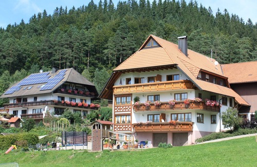 Elzach Apartamento | Apartment 'Schlössle, 22 sqm' with Shared Terrace, Shared Garden and Wi-Fi