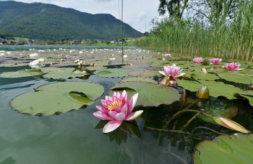 Kufstein Apartamento | Apartamento Seeblick Ticklhof am See