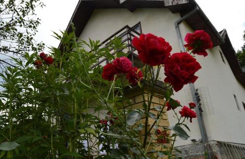 Mokra Gora Apartamento | Apartment Sijakovic