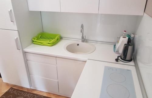 Valjevo Apartamento | Apartment Simić