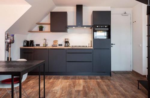 Offingawier Apartamento | Apartment Sneekermeer with Water Sports Access
