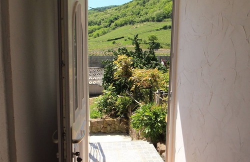 Wintzenheim Apartamento | APARTAMENTO CON UNA VISTA INCREÍBLE EN EL VIÑEDO ALSACIAN