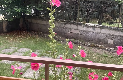 Rivisondoli Apartamento | Apartment 'Stef House' with Private Garden, Wi-Fi and Air Conditioning