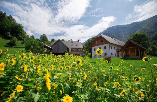 Lom pod Storzicem Apartamento | Apartamento 1 Storman, granja, país, naturaleza, familia, 20 km de Bled, 4 personas