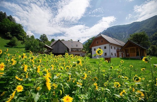 Lom pod Storzicem Apartamento | Apartamento 2 Storman, granja, país, naturaleza, familia, 20 km de Bled, 4 personas