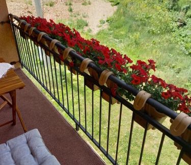 Mavrovo Apartamento | Apartment Suzana