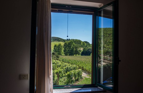 Cisterna d'Asti Apartamento | Apartamento el viñedo