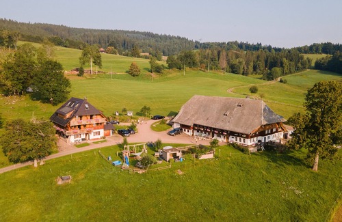 Hinterzarten Apartamento | Apartment 'Titisee' with Mountain View, Private Terrace and Wi-Fi