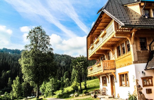 Hinterzarten Apartamento | Apartment 'Titisee' with Mountain View, Private Terrace and Wi-Fi