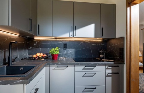 Ellmau Apartamento | Apartamento Tipo 1 40m² - Haus Alpin