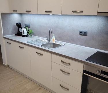 Bohemian-Moravian Highlands Apartamento | Apartment u Ježků