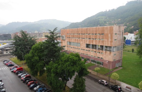Mieres del Camino Apartamento | apartamento vega de arriba mieres