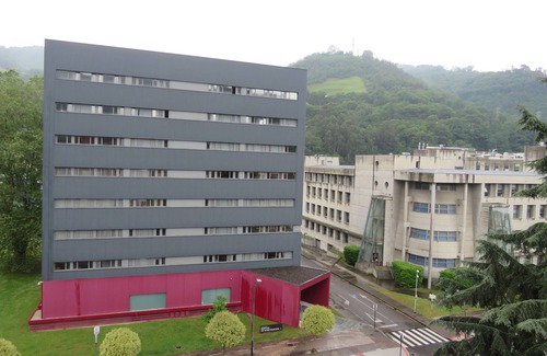 Mieres del Camino Apartamento | apartamento vega de arriba mieres