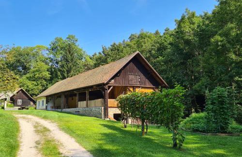 Slovenska Bistrica Apartamento | Apartment Vintgar