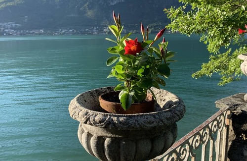 Claino Con Osteno Apartamento | Apartment with garden, direct access to the lake in ancient villa