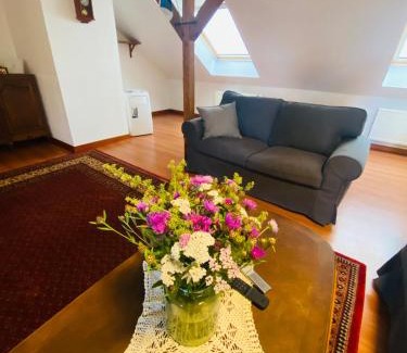 Otepaa Apartamento | Apartment with a jacuzzi close to Tehvandi