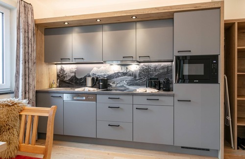 Haus im Ennstal Apartamento | Apartment with a private sauna and a balcony