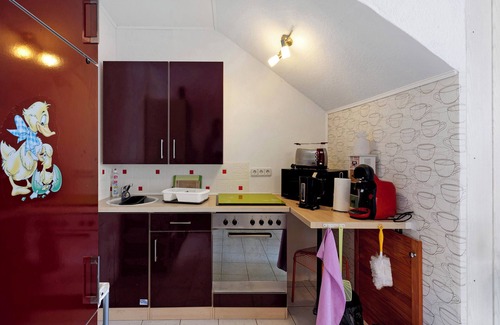Querfurt Apartamento | Apartamento 'Wohnung Im Hinterhof' con jardín privado y Wi-Fi