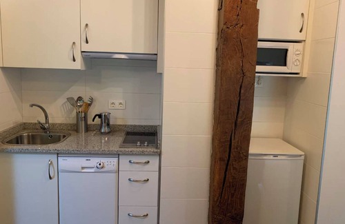 Ituren Apartamento | Apartment 'Zaldiko' with Mountain View, Wi-Fi and Air Conditioning