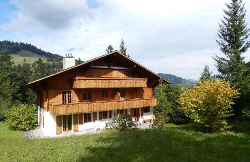 Saanenmoeser Apartamento | Apartment Zapfe - Küenzi by Interhome