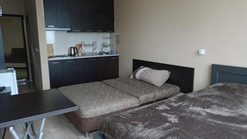 Magnetiti Apartamento | Apartment Zhemchuzhina Ureki-3 СТУДИО