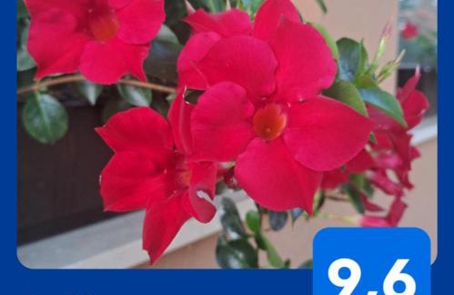 Radenci Apartamento | Apartments AD Radenci