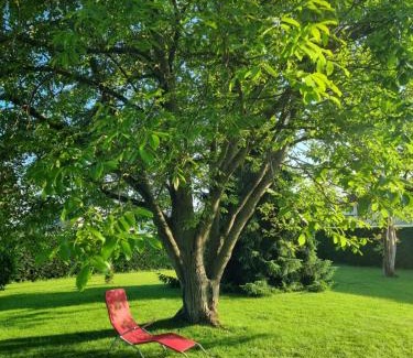Radenci Apartamento | Apartments AD Radenci