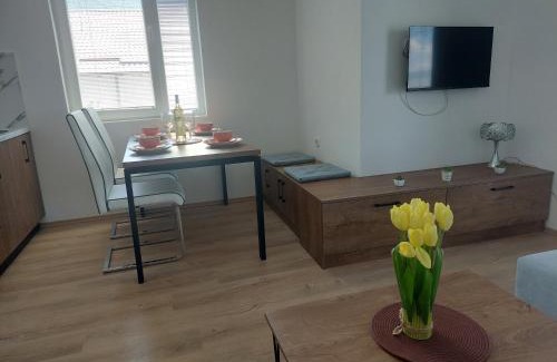 Elshani Apartamento | Apartments Anchor Pestani