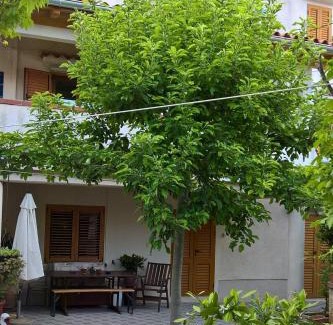 Nerezine Casa | Apartments and rooms with parking space Nerezine, Losinj - 8049