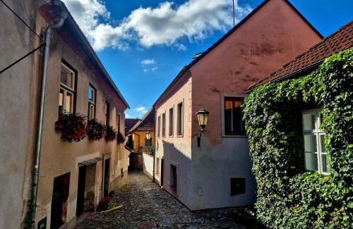 Trebic Apartamento | Apartments Aron Stinná