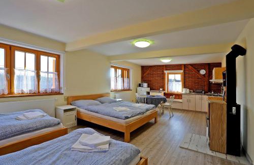 Abertamy Apartamento | Apartments Bayer - ex Apartments Pavel