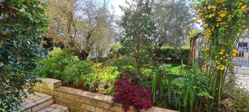 Spadici Apartamento | Apartments Boris